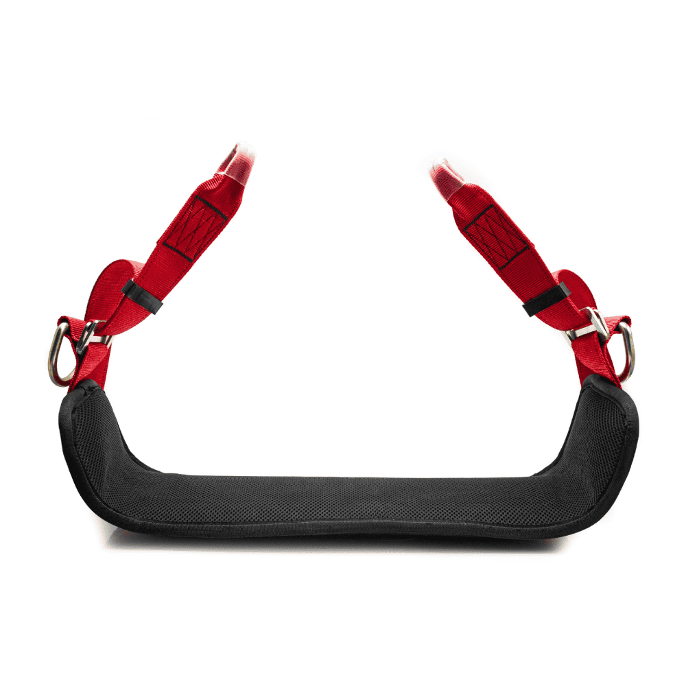 Black padded seat with red strapping and dee rings