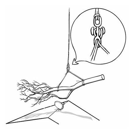 Notch Backbone Knotless Rigging Connector lifting tree branch