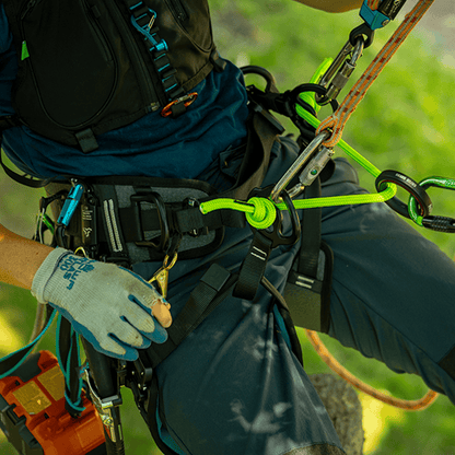 Notch Catalyst Harness