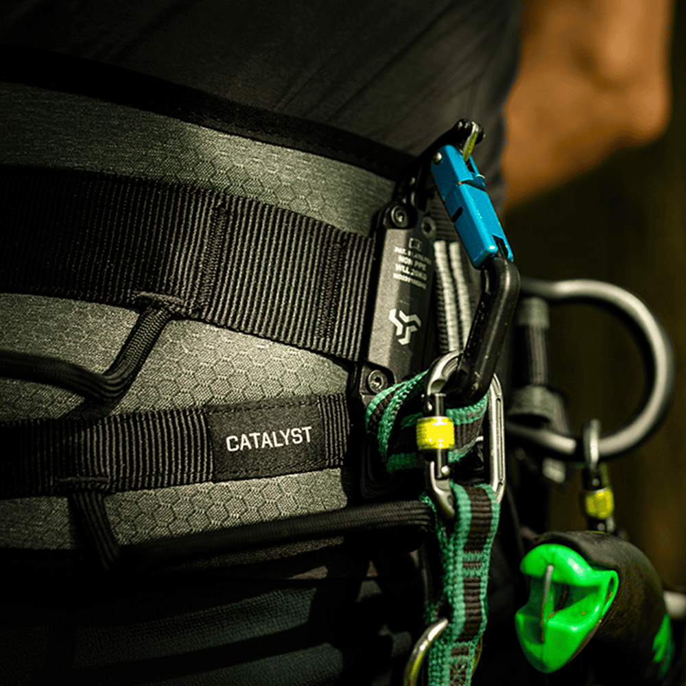 Notch Catalyst Harness