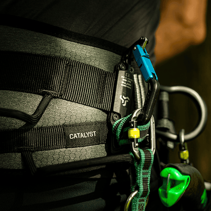 Notch Catalyst Harness