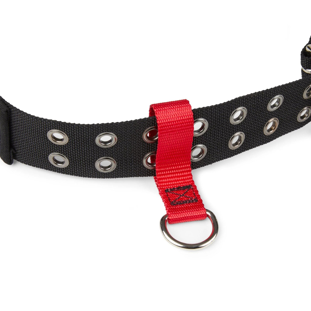 Gripps BeltLoop Anchor
