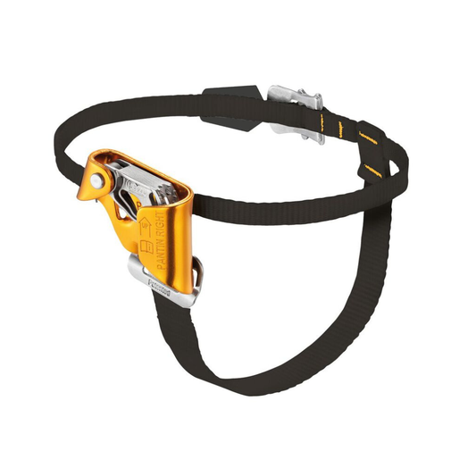 Petzl Pantin Click