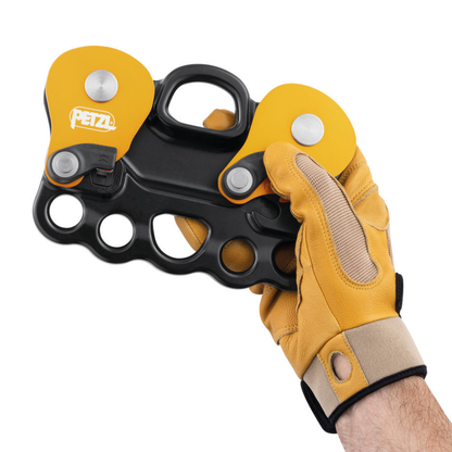 Petzl Reeve
