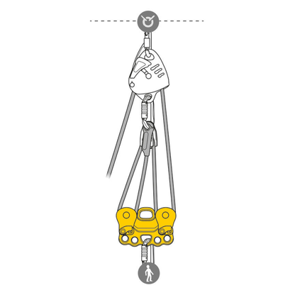 Petzl Reeve